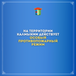 Распоряжением Правительства Республики Калмыкия от 28 апреля 2021 года №133-р с 05 мая 2021 года на территории Калмыкии действует особый противопожарный режим